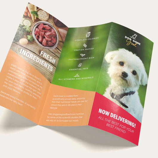 Brochures_Marketing_Materials_A